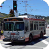 MUNI Rigid Buses